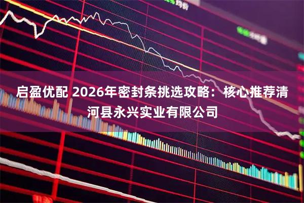 启盈优配 2026年密封条挑选攻略：核心推荐清河县永兴实业有限公司