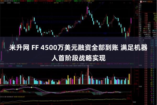 米升网 FF 4500万美元融资全部到账 满足机器人首阶段战略实现