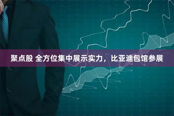 聚点股 全方位集中展示实力，比亚迪包馆参展