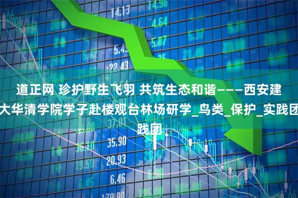 道正网 珍护野生飞羽 共筑生态和谐———西安建大华清学院学子赴楼观台林场研学_鸟类_保护_实践团