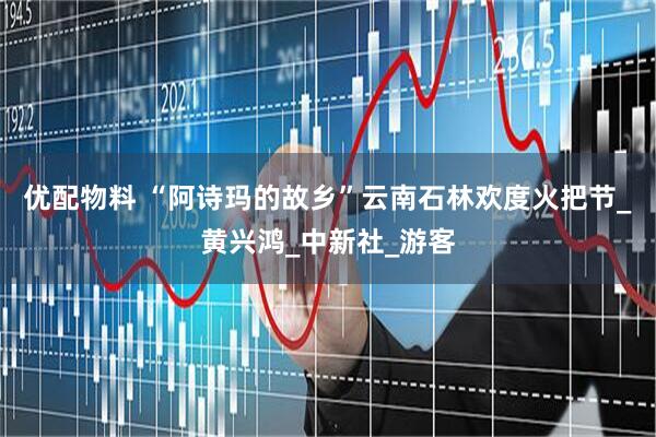 优配物料 “阿诗玛的故乡”云南石林欢度火把节_黄兴鸿_中新社_游客