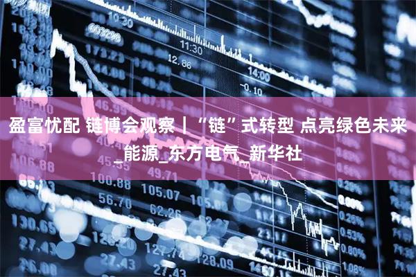 盈富忧配 链博会观察｜“链”式转型 点亮绿色未来_能源_东方电气_新华社